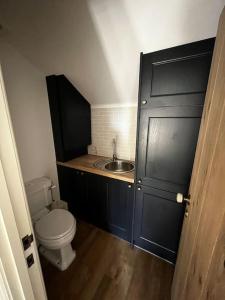 een kleine badkamer met een toilet en een wastafel bij Byre - Farm Cottage on 9 acre Equestrian Small Holding in Salisbury