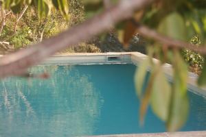 a close up of a blue swimming pool at LES CABANES DE LUTINA in Poggio-Marinaccio