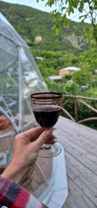Üldine mäevaade või majutusasutusest Elsesi Racha Glamping pildistatud vaade