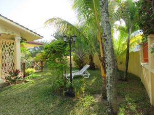 a yard with a white chair and a palm tree at VILLA CANELLE in Trou aux Biches