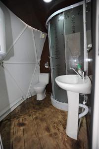 a bathroom with a sink and a shower and a toilet at Elsesi Racha Glamping in Ambrolauri
