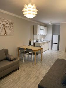 Kuchyňa alebo kuchynka v ubytovaní Coser Apartamenty Metro ONZ