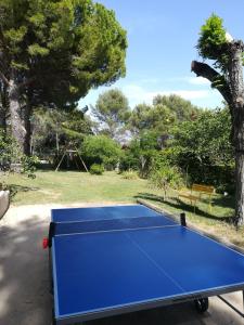 una mesa de ping pong azul en un parque en Charmant gîte nature au pied du Luberon, en Saint-Martin-de-la-Brasque