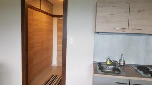 Kuchyňa alebo kuchynka v ubytovaní Apartment Wolfgangsee