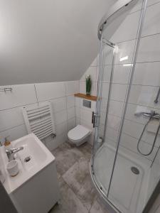 y baño con ducha, lavabo y aseo. en Pokój studio z balkonem, en Grywałd