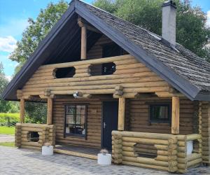 a log cabin with a black roof at NPLIHOUSE in Otepää