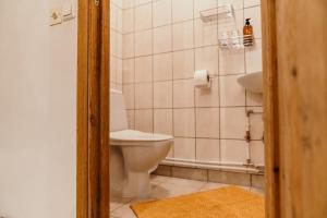 een badkamer met een toilet en een wastafel bij Narva Castle Rooms in Narva