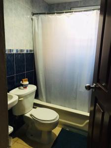 a bathroom with a toilet and a sink and a shower at Apartamentos ipap luperon in Puerto de Luperon