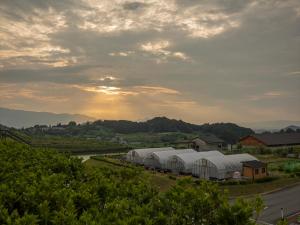 una fila de invernaderos en un campo con la puesta de sol en Hotel Nara Sakurai No Sato en Sakurai