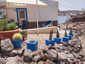 Táj Show holiday homes közelében