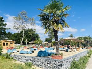 a beach with lounge chairs and a palm tree at Apartment am Meer in Sierksdorf