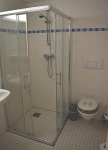 a shower stall in a bathroom with a toilet at Radlerzimmer Neu Gaarz für 2 Personen in Neu Gaarz