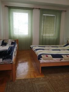 Duas camas num quarto com paredes verdes e pisos em madeira em Apartment NAUM M em Ohrid
