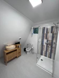 a bathroom with a shower and a toilet and a sink at Cabane A-Frame Svinița in Sviniţa