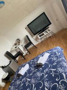 Schlafzimmer mit einem Bett und einem Flachbild-TV in der Unterkunft Apartmani Petra in Novi Sad