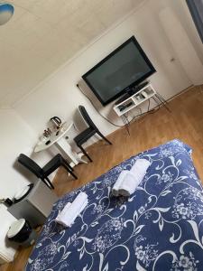 una camera da letto con un letto e una TV a schermo piatto di Apartmani Petra a Novi Sad