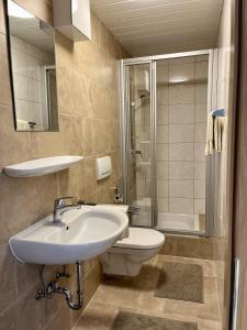 een badkamer met een wastafel, een toilet en een douche bij Haus Barbara in Waidring