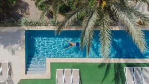 a person swimming in a swimming pool with a palm tree at Aparthotel Ses Fotges in Playa de Muro