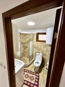 La salle de bains est pourvue de toilettes, d'une douche et d'un lavabo. dans l'établissement Casa Camelia, à Nehoiu