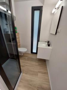 a bathroom with a toilet and a sink and a mirror at Domek - Carineczka Chańcza in Chańcza
