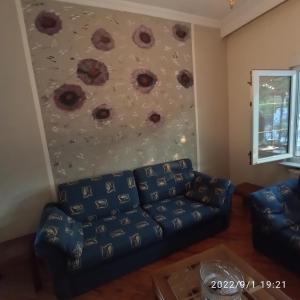 Posezení v ubytování Kolhida home