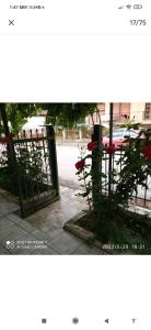 Zahrada ubytování Kolhida home