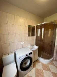 a bathroom with a washing machine and a sink at Kwatery prywatne Jaśmin in Gniezno