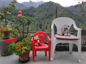 Fotografie z fotogalerie ubytování Casa le rondini v destinaci Mezzenile