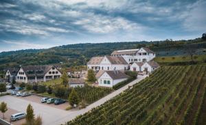 uma vista aérea de uma cidade com um monte de videiras em Takler Kúria em Szekszárd