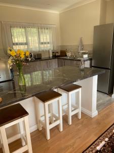 a kitchen with a counter with a vase of flowers at Peartree Cottage in Hogsback