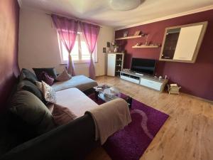 ein Wohnzimmer mit einem Sofa und einem TV in der Unterkunft Schöne 3 Zimmer Wohnung in Oberwesel
