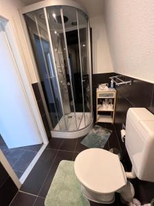 a bathroom with a white toilet and a shower at Schöne 3 Zimmer Wohnung in Oberwesel
