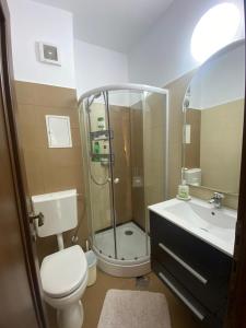 un bagno con doccia, WC e lavandino di Dinamic Studio Old Town a Bucarest Altre 17 foto