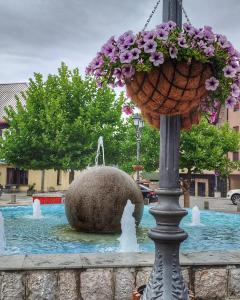 a fountain with a rock in the water with flowers at Vikendica Vlahović in Kolašin