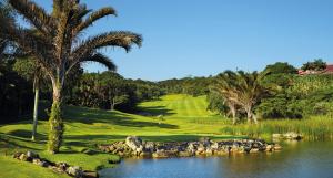 a golf course with palm trees and a pond at San Lameer Villa 2536 - 3 Bedroom Superior - 6 pax - San Lameer Rental Agency in Southbroom