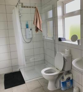W łazience znajduje się prysznic, toaleta i umywalka. w obiekcie Cree River Cottage w mieście Creegh