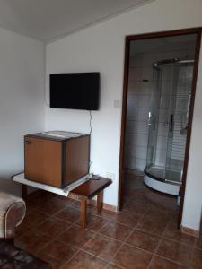 a bathroom with a shower and a tv on the wall at Vila Roz in Mangalia