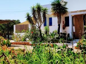 Vonkajšia záhrada v ubytovaní Ca n'Antonia Formentera