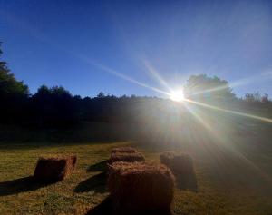 a group of hay bales in a field with the sun at Koliba Šume Pjevaju - robinzonski smjestaj, struja 12 V, voda iz cisterne in Mrkopalj