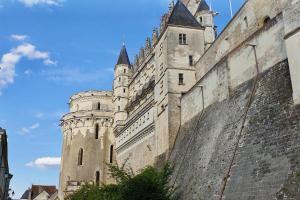 昂布瓦兹的住宿－Splendid apartment at the foot of the castle of Amboise - View of the Loir，墙上的城堡