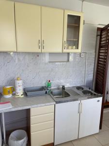 Kuchyňa alebo kuchynka v ubytovaní Gorana studio apartment