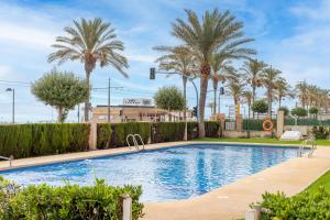 a swimming pool with palm trees and bushes at Apartamento Columbretes in San Juan de Alicante