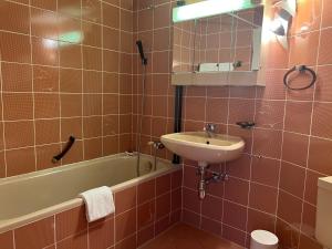 a bathroom with a sink and a bath tub at Eden Resort Anzère in Anzère