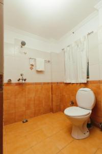 加德滿都的住宿－Tise Hotel，一间带卫生间和淋浴的浴室