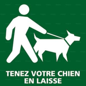 Ospiti di Repos De La Fontaine con animali domestici