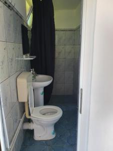 a bathroom with a toilet and a sink at Pensiunea Nina in 2 Mai