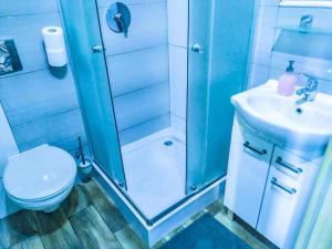 a bathroom with a shower and a toilet and a sink at Klinkierowa Komnata in Gniezno