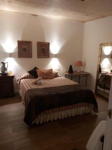 a bedroom with a large bed and a mirror at casa da xusta in Picoña