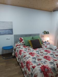 Katil atau katil-katil dalam bilik di Vivienda con jardin terraza y barbacoa +38 gambar