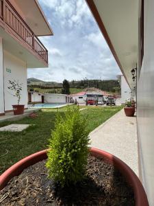 una planta en una olla al lado de un edificio en San Martin Resort, 